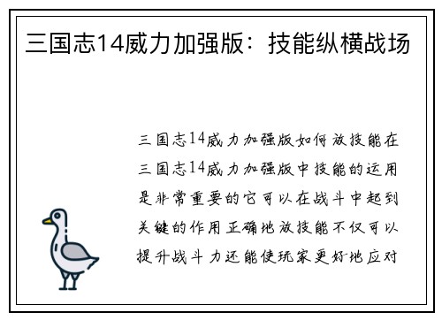 三国志14威力加强版：技能纵横战场